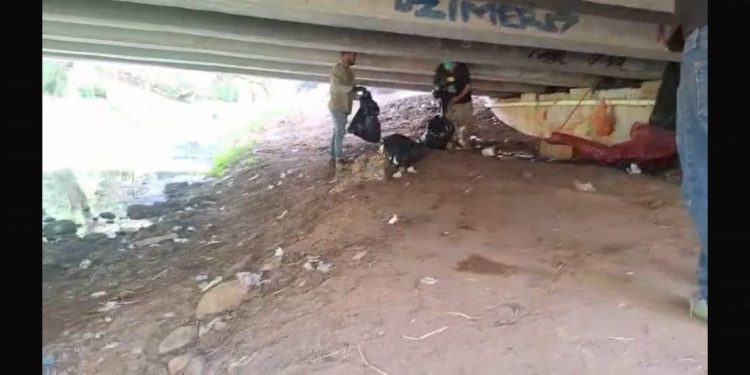 Gobierno de Morelia interviene bajo puentes de Av. Solidaridad