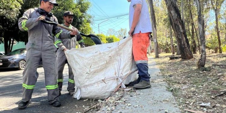 Gobierno de Morelia refuerza acciones de limpieza en espacios públicos