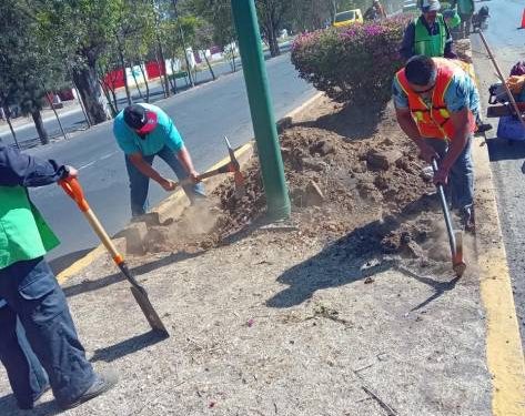 Gobierno de Morelia interviene áreas verdes en zona de las Tarascas
