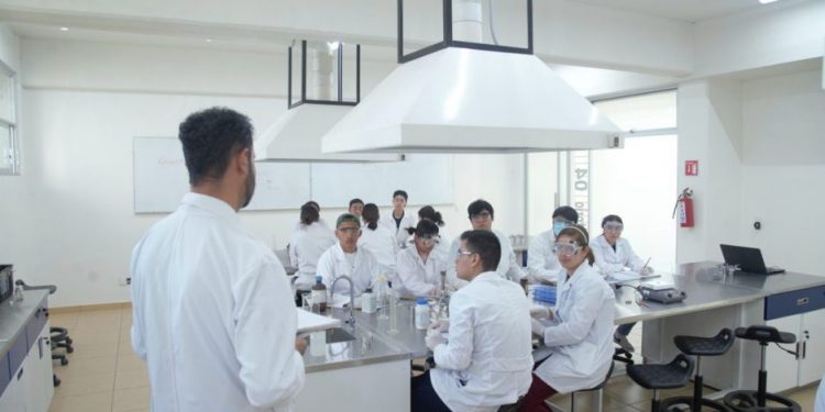 UMSNH apuesta a concretar nuevas acreditaciones; excelencia y calidad, insignia de programas nicolaitas