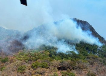 Morelianos disfrutaron el Día Mundial del Libro con programa de SeCultura