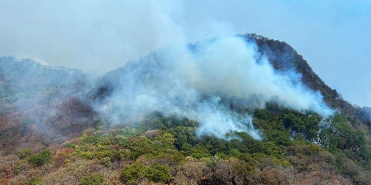 Morelianos disfrutaron el Día Mundial del Libro con programa de SeCultura