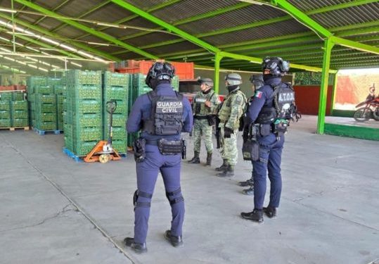Garantizado el abasto de limón michoacano a todo el país: Torres Piña