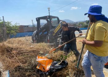 Brigadistas forestales apagan 4 incendios y atienden 3 más: Cofom