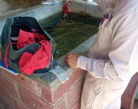 SSM te dice cómo detectar el dengue grave o hemorrágico