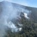 Atendido incendio forestal en zona del bosque de la Mariposa Monarca: Cofom