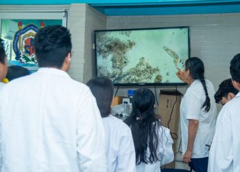 Preregistros para ingresar a la UMSNH superan los 24 mil 500 aspirantes