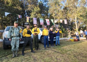 Controlado al 95 % el incendio en el Santuario de la Monarca en Senguio, Michoacán: Cofom