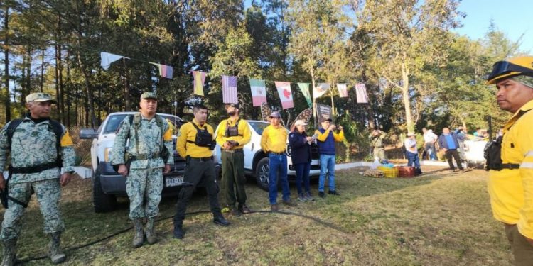 Controlado al 95 % el incendio en el Santuario de la Monarca en Senguio, Michoacán: Cofom