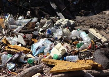 Ooapas retira importante taponamiento en el Río Grande