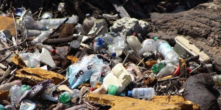 Ooapas retira importante taponamiento en el Río Grande