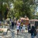 Miles de personas acuden al Panteón Municipal para conmemorar el Día de las Madres