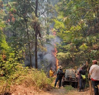 Brigadas de Cofom atienden incendio forestal-Morelia Informativo