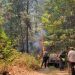 Brigadas de Cofom atienden incendio forestal-Morelia Informativo
