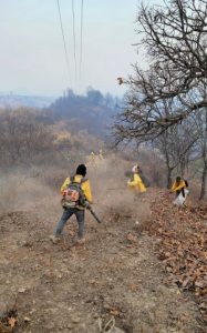 Brigadas de Cofom atienden incendio forestal-Morelia Informativo1