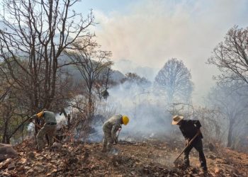 Brigadistas forestales apoyando en incendios forestales: Cofom-Morelia Informativo