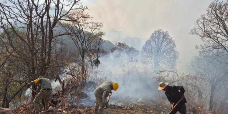 Brigadistas forestales apoyando en incendios forestales: Cofom-Morelia Informativo