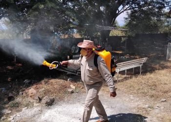 Acciones preventivas contra el Dengue: SSM-Morelia Informativo