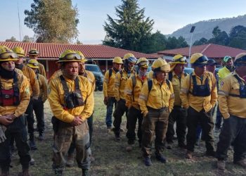 Brigadistas forestales apagan cuatro incendios forestales: Cofom-Morelia Informativo