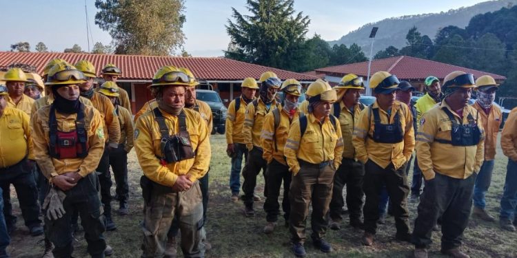 Brigadistas forestales apagan cuatro incendios forestales: Cofom-Morelia Informativo