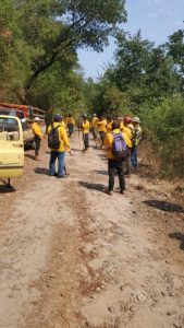Brigadistas forestales apagan cuatro incendios forestales: Cofom-Morelia Informativo2