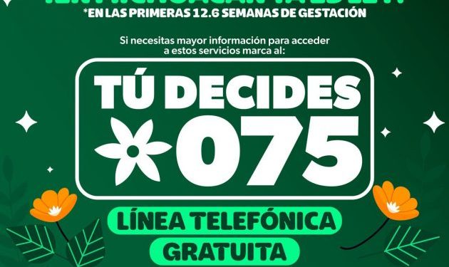El derecho a decidir informada: Seimujer lanza línea telefónica sobre el aborto voluntario y seguro
