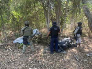SSP y defensa destruye plantío de Marihuana-Morelia Informativo3