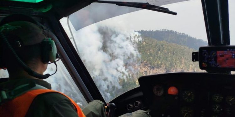 Por aire y tierra Gobierno de Michoacán combate incendio en el Pico de Tancítaro