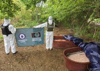 Asegurados 400 kg de metanfetamina en Buenavista: SSP