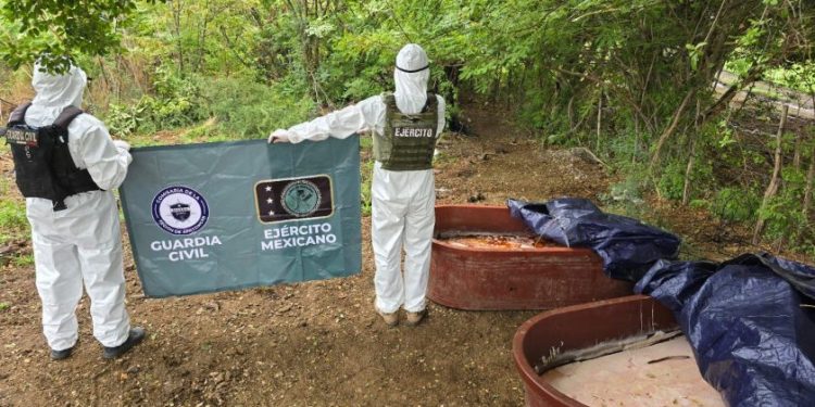 Asegurados 400 kg de metanfetamina en Buenavista: SSP