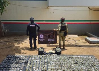 SSP y Defensa decomisan más de 600 envoltorios con droga en Buenavista