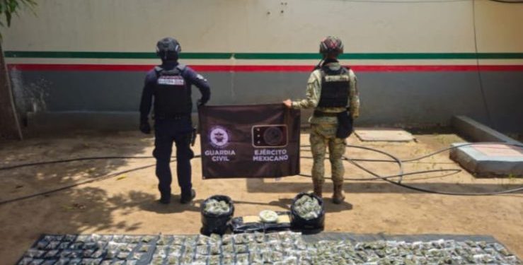 SSP y Defensa decomisan más de 600 envoltorios con droga en Buenavista