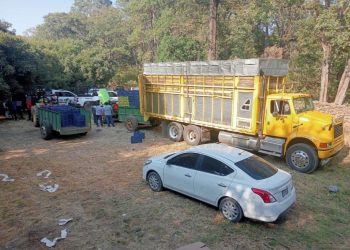 SSP y Defensa detienen a 14 presuntos implicados en robo de 160 cajas de aguacate