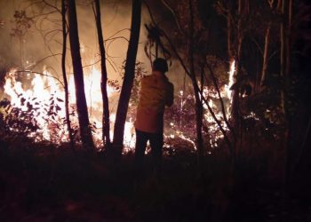 Combate de incendio en Tuxpan: Cofom-Morelia Informativo