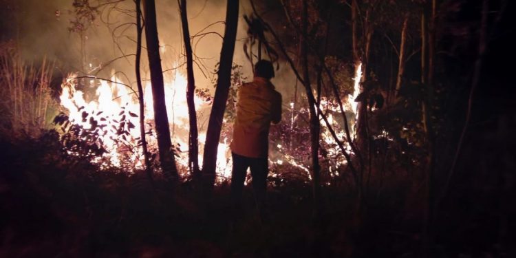 Combate de incendio en Tuxpan: Cofom-Morelia Informativo