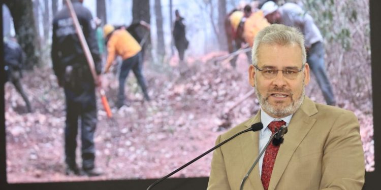 Incendio en Biósfera de la Monarca no afectó zona núcleo: Bedolla