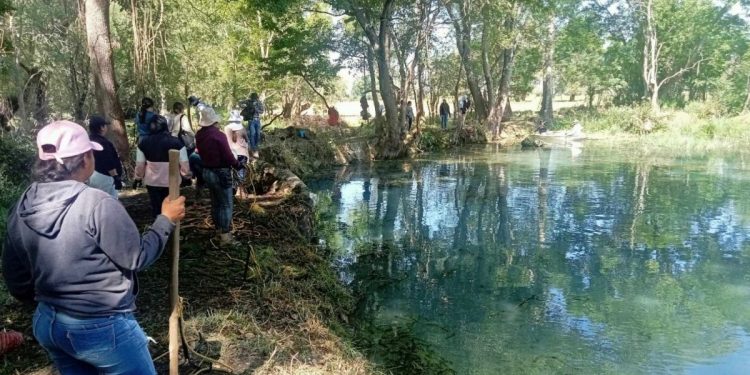 Rescate del Lago de Pátzcuaro: Secma-Morelia Informativo