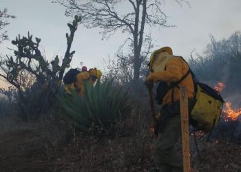 Brigadas forestales atienden 7 incendios y liquidan 2 más en Michoacán
