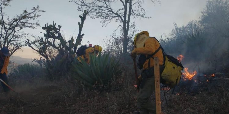 Brigadas forestales atienden 7 incendios y liquidan 2 más en Michoacán