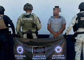 SSP detiene a hombre en plantío de mariguana y destruye campamento clandestino