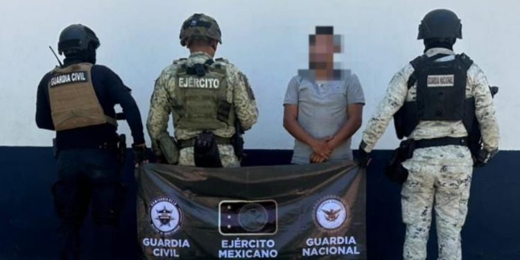SSP detiene a hombre en plantío de mariguana y destruye campamento clandestino