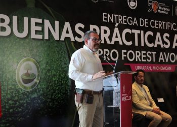 Libre de deforestación el 70 % del aguacate michoacano exportado a EU: Secma