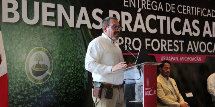 Libre de deforestación el 70 % del aguacate michoacano exportado a EU: Secma