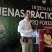 Libre de deforestación el 70 % del aguacate michoacano exportado a EU: Secma