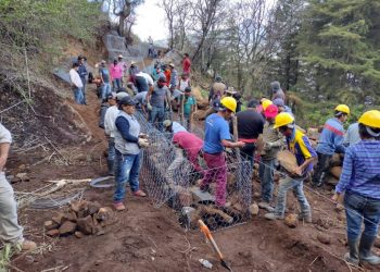Agrosano refuerza conservación del lago de Pátzcuaro y sus manantiales: Sader