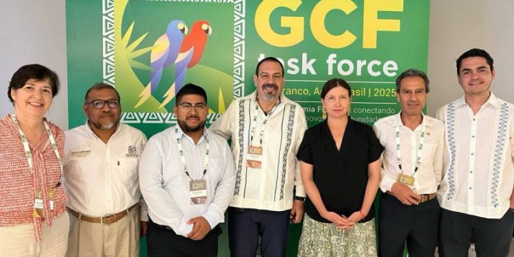 Por Guardián Forestal, Michoacán se integra a grupo internacional contra cambio climático