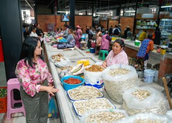Vengan a conocer el Mercado de Pátzcuaro, sus puertas están abiertas: Gladyz Butanda
