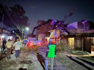 Retiro de árboles por lluvias-Morelia Informativo2