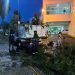 Retiro de árboles por lluvias-Morelia Informativo