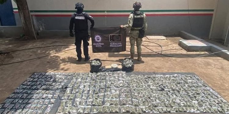 Más de 470 kg de droga asegurada en el mes de mayo: SSP